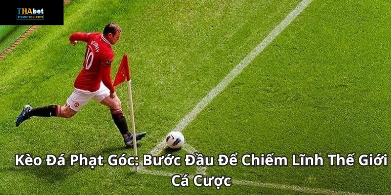 Các loại kèo phạt góc phổ biến