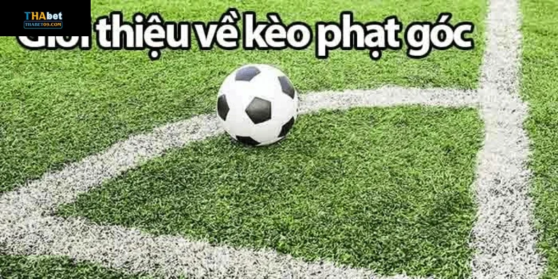Kỹ thuật và chiến thuật xem kèo phạt góc tại Thabet