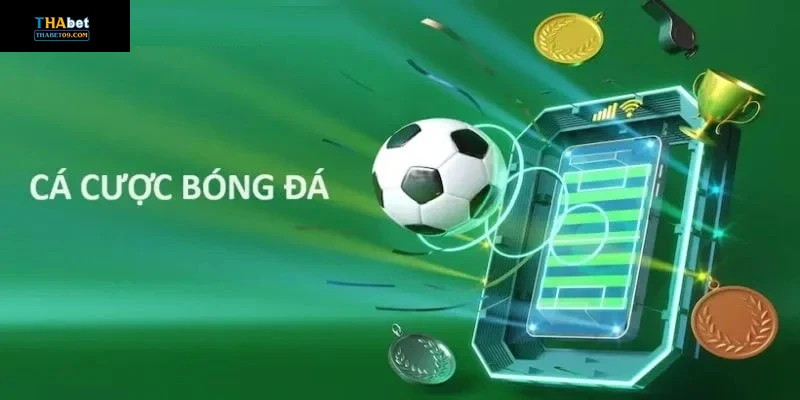 Giao diện và trải nghiệm người dùng