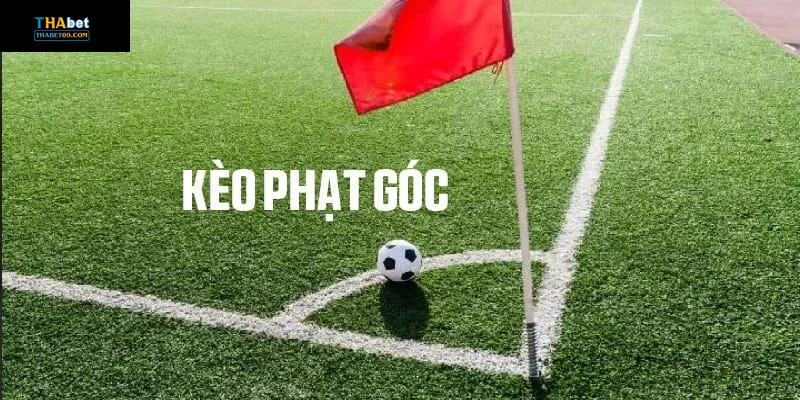 Mẹo và lưu ý khi xem kèo phạt góc trên Thabet